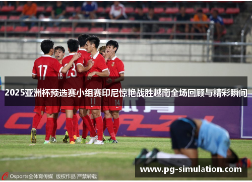 2025亚洲杯预选赛小组赛印尼惊艳战胜越南全场回顾与精彩瞬间