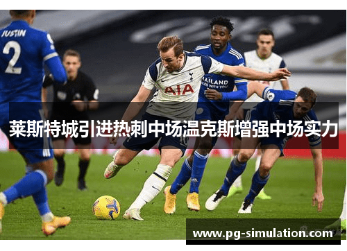 莱斯特城引进热刺中场温克斯增强中场实力